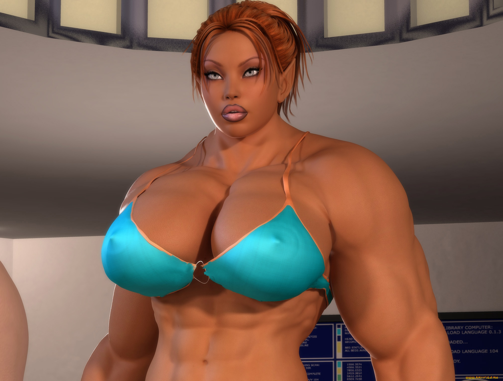 3д, графика, эльфы, , elves, фон, эльфийка, взгляд