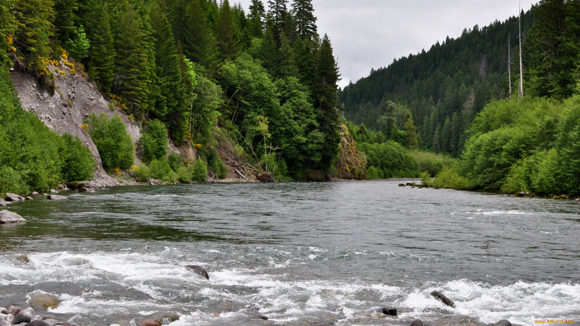 природа, реки, озера, камни, поток