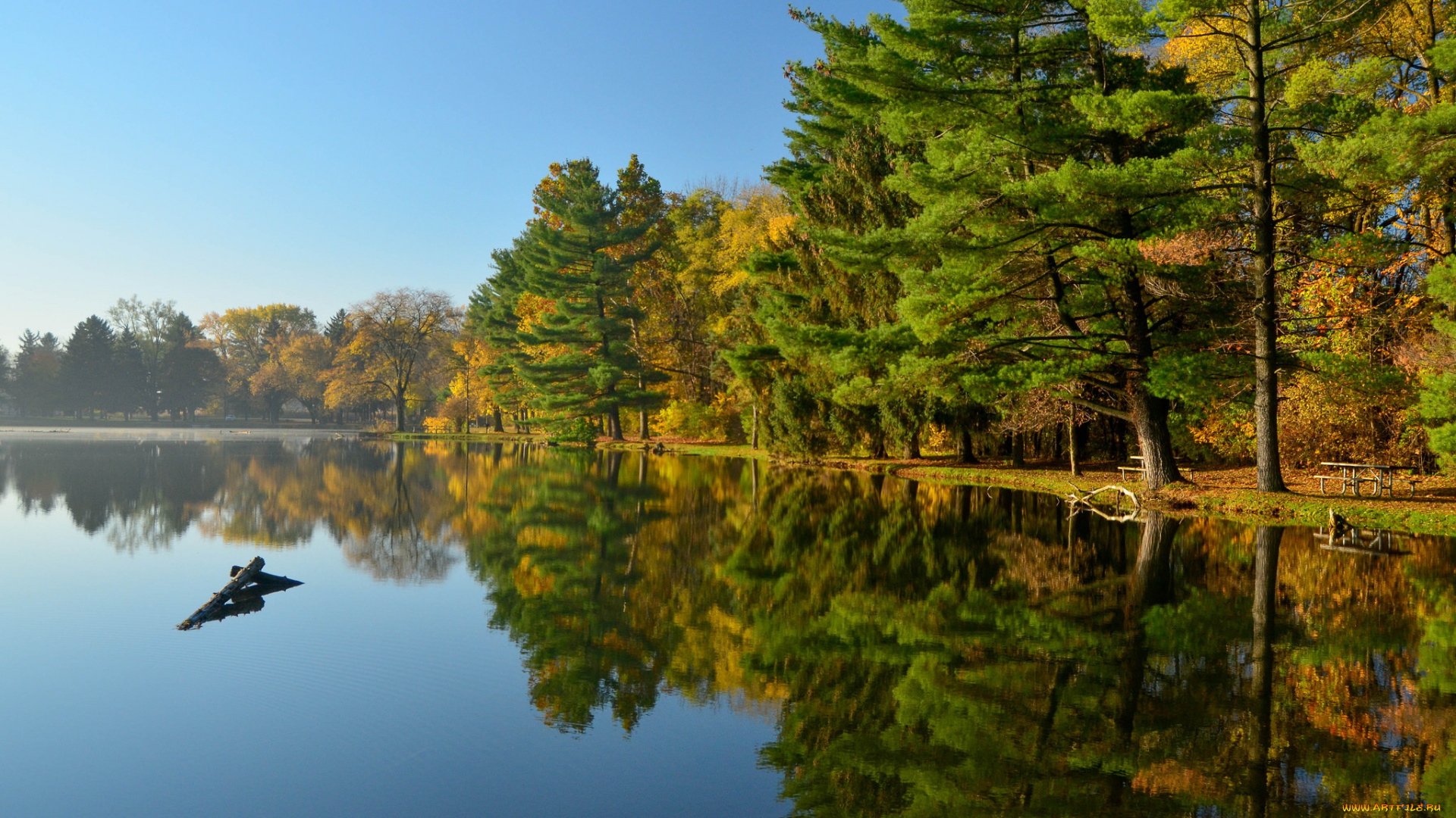 природа, реки, озера, лес, река