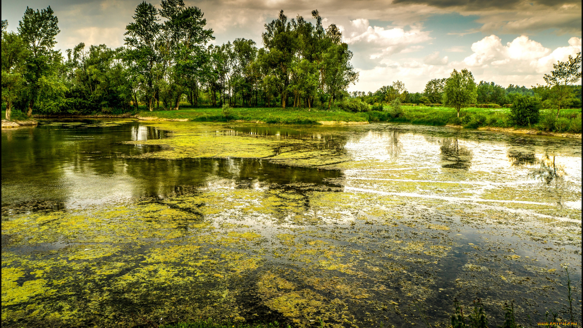 природа, реки, озера, лес, река