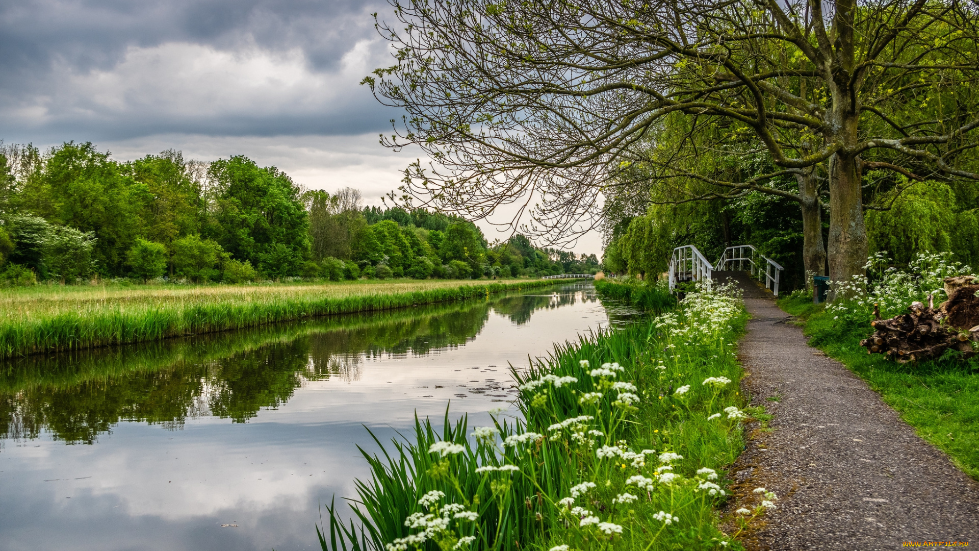 природа, реки, озера, лес, река