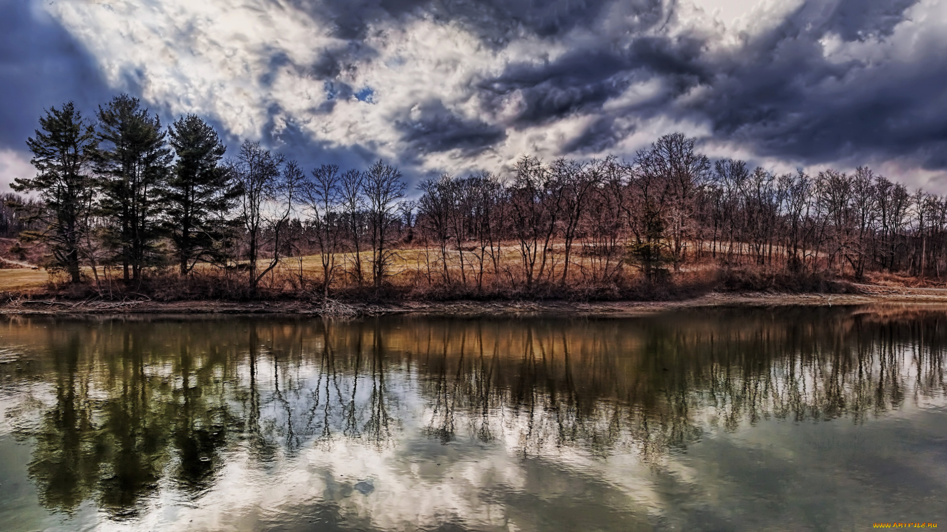 природа, реки, озера, лес, река