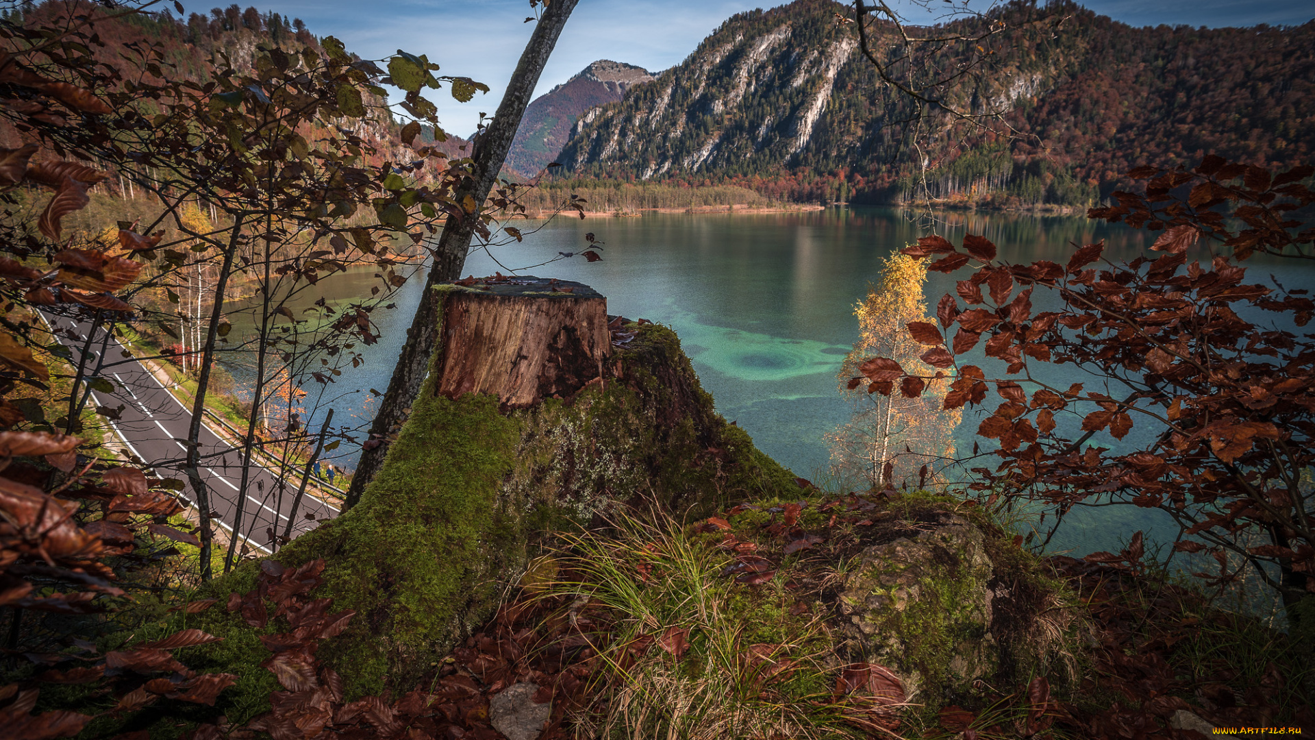 природа, реки, озера, лес, река