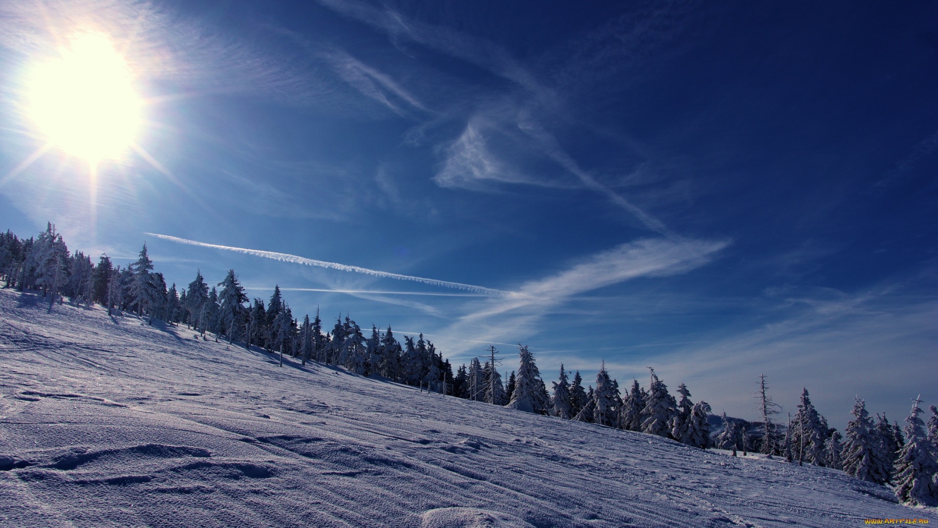 природа, зима, снег, деревья