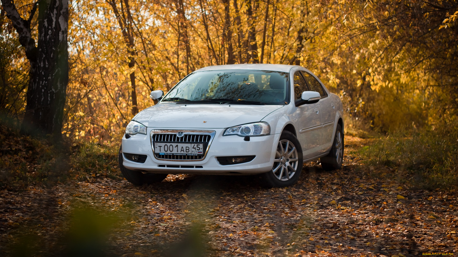 волга, сайбер, автомобили, газ, сайбер, волга