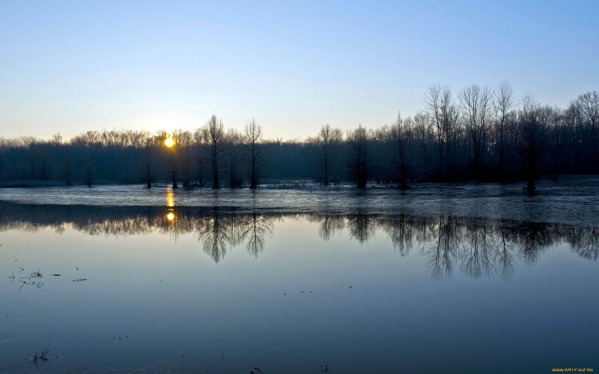 природа, реки, озера, река, деревья