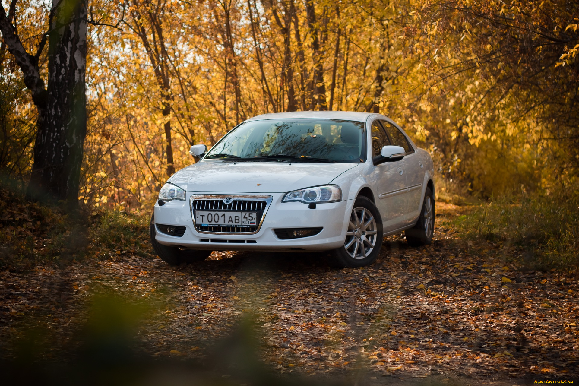 волга, сайбер, автомобили, газ, сайбер, волга