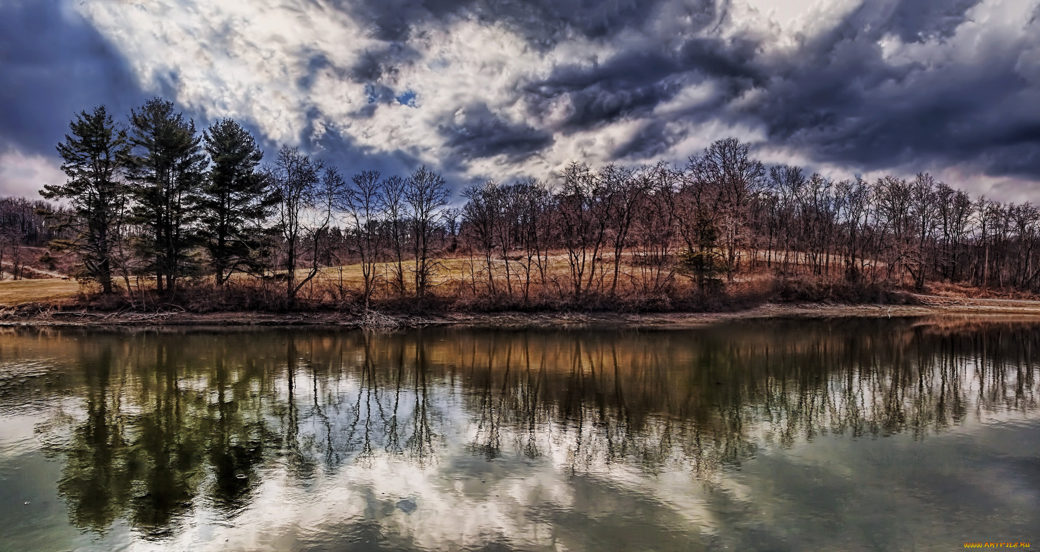 природа, реки, озера, лес, река