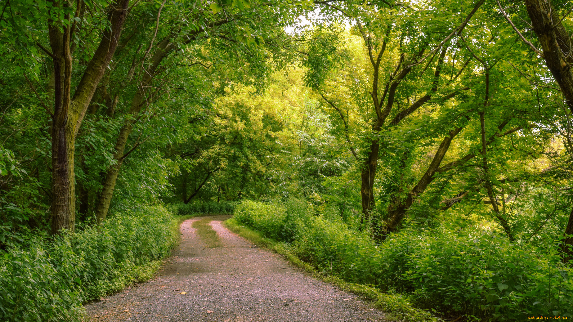 природа, дороги, простор
