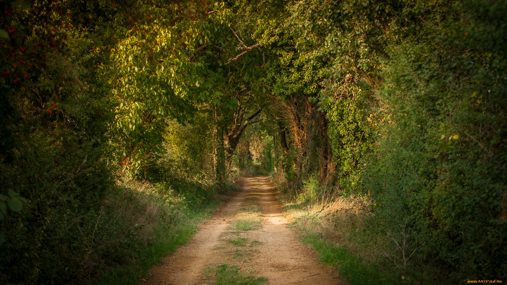 природа, дороги, простор