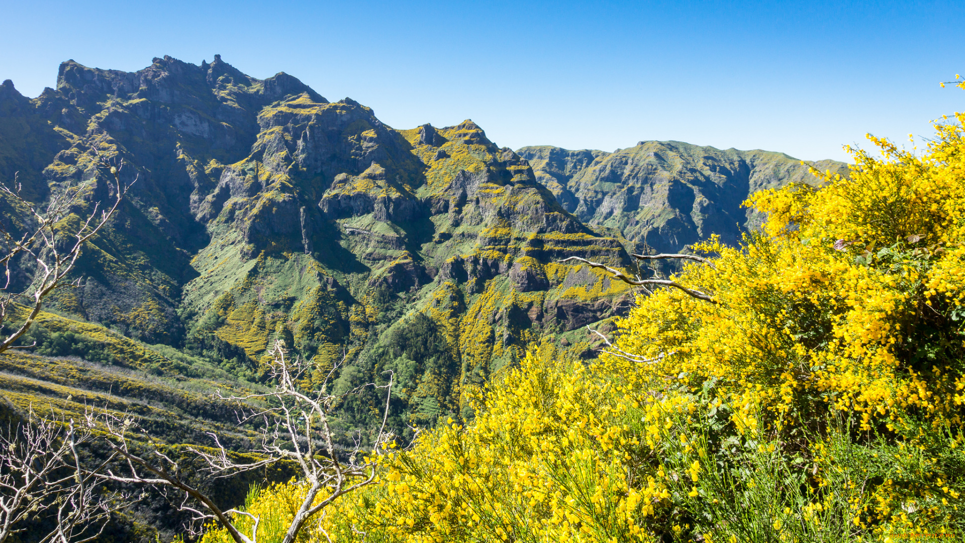 природа, горы, простор