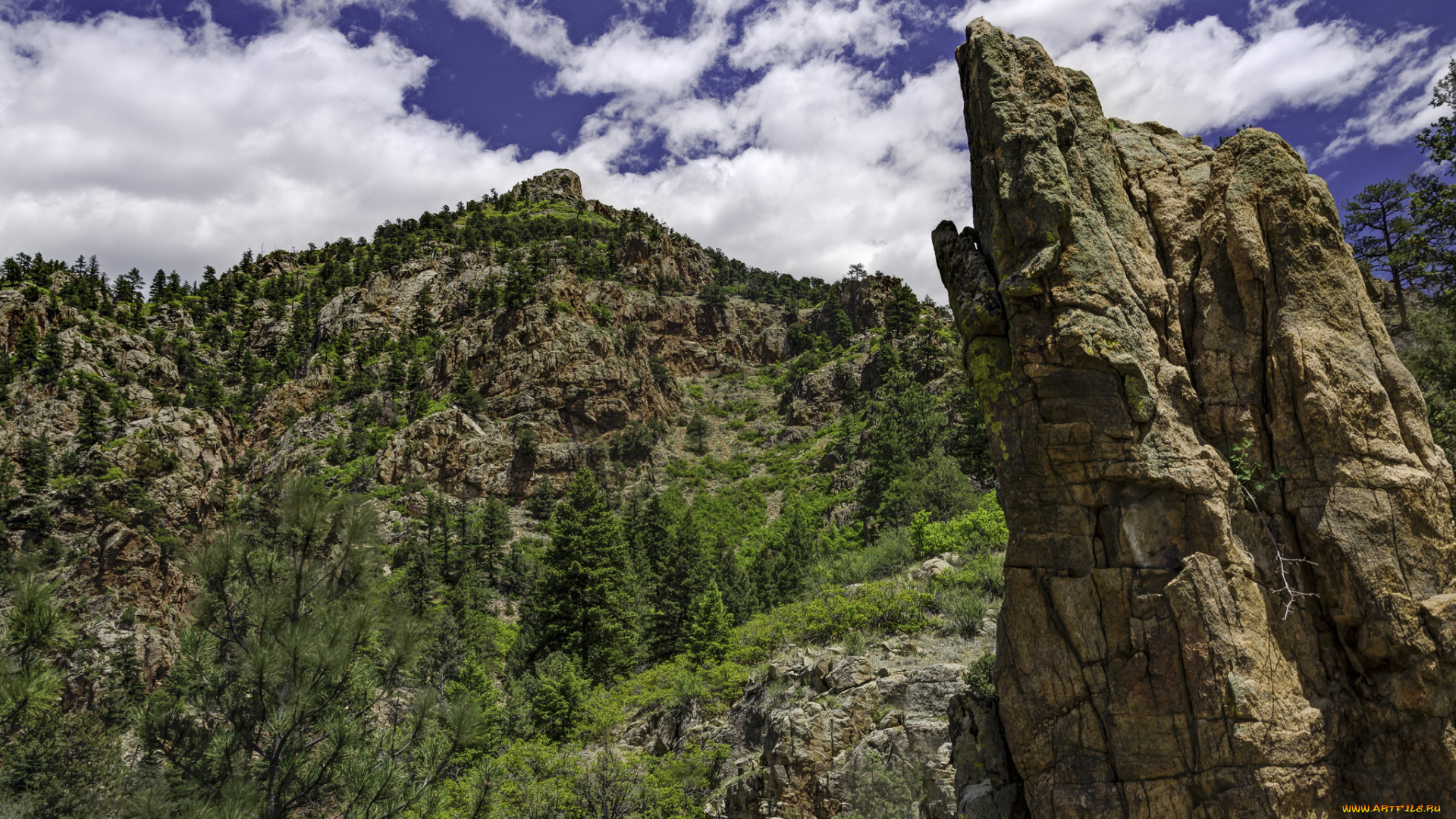 природа, горы, простор