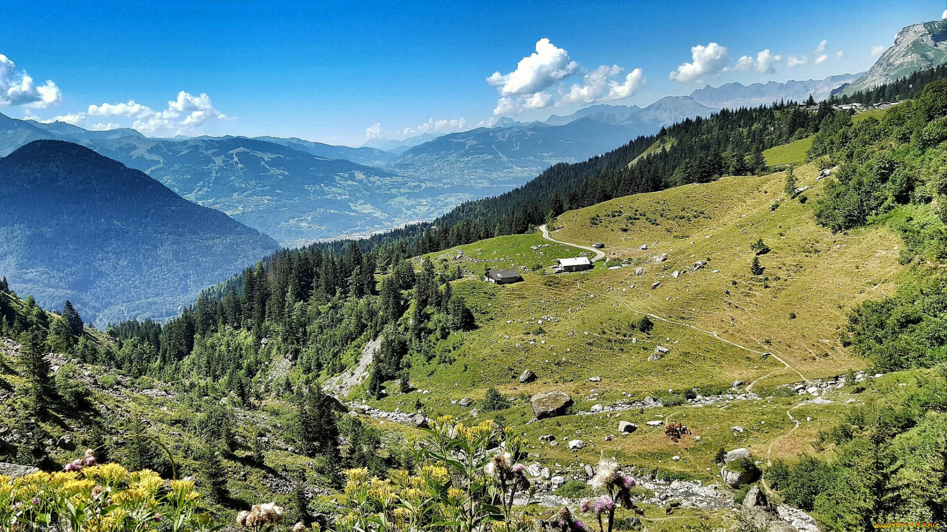 природа, горы, простор