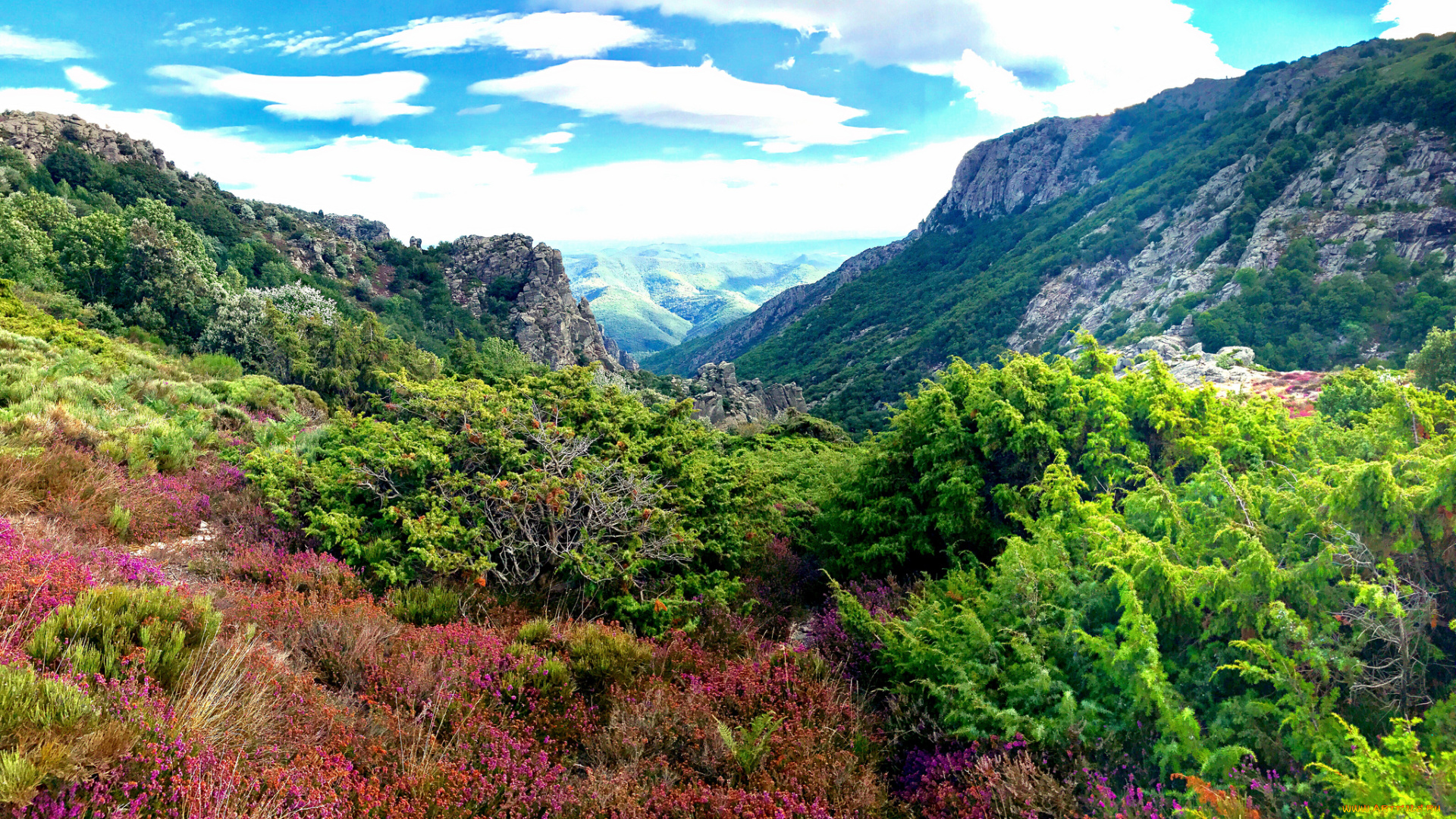 природа, горы, простор