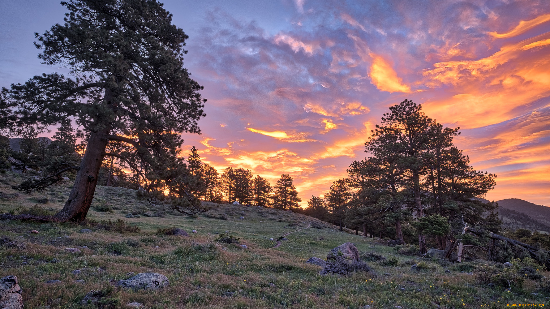 природа, пейзажи, простор