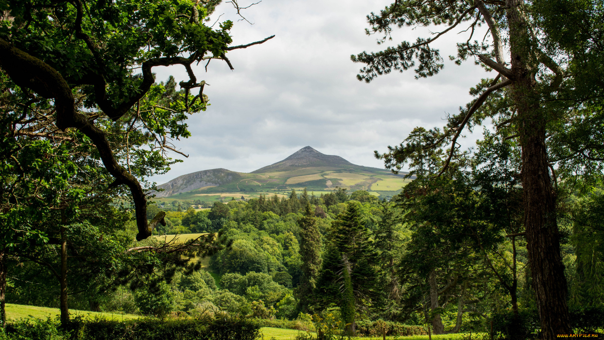 природа, пейзажи, простор