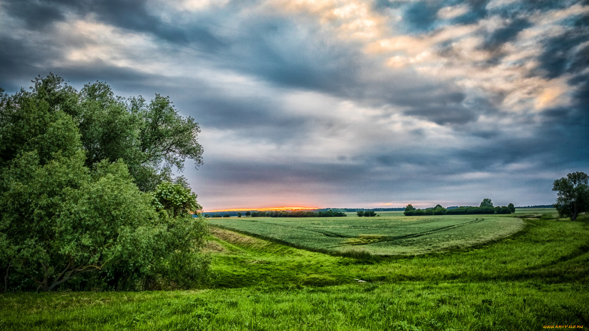 природа, поля, простор