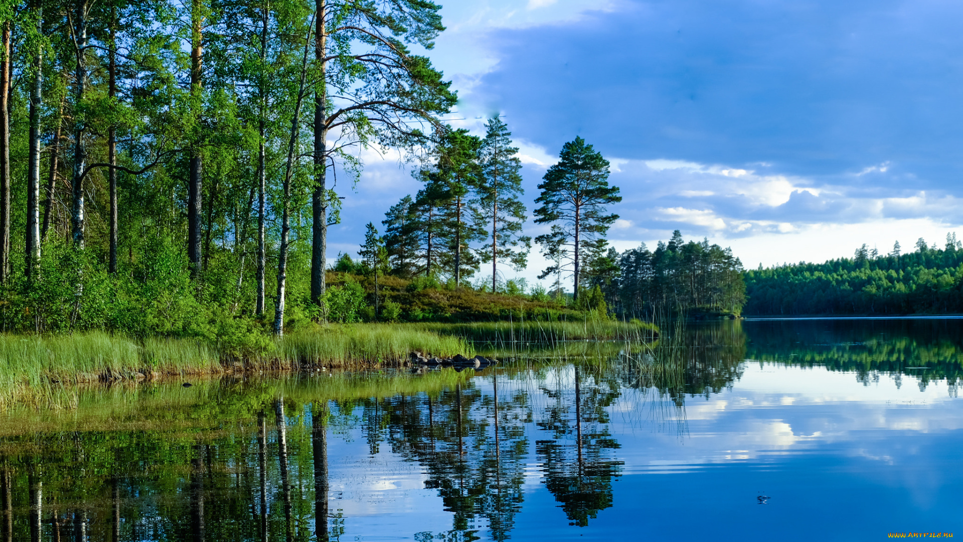 природа, реки, озера, простор