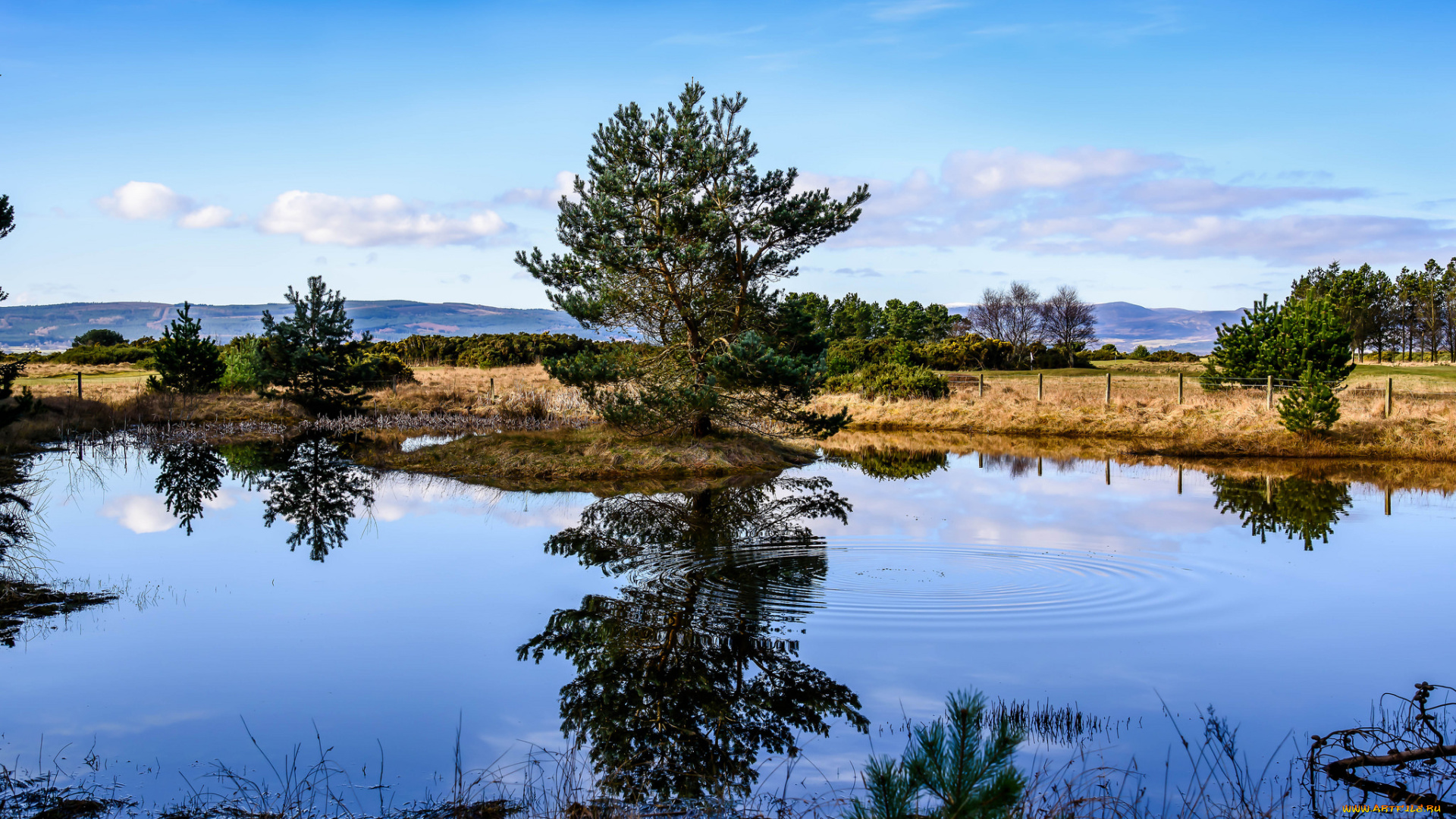 природа, реки, озера, простор