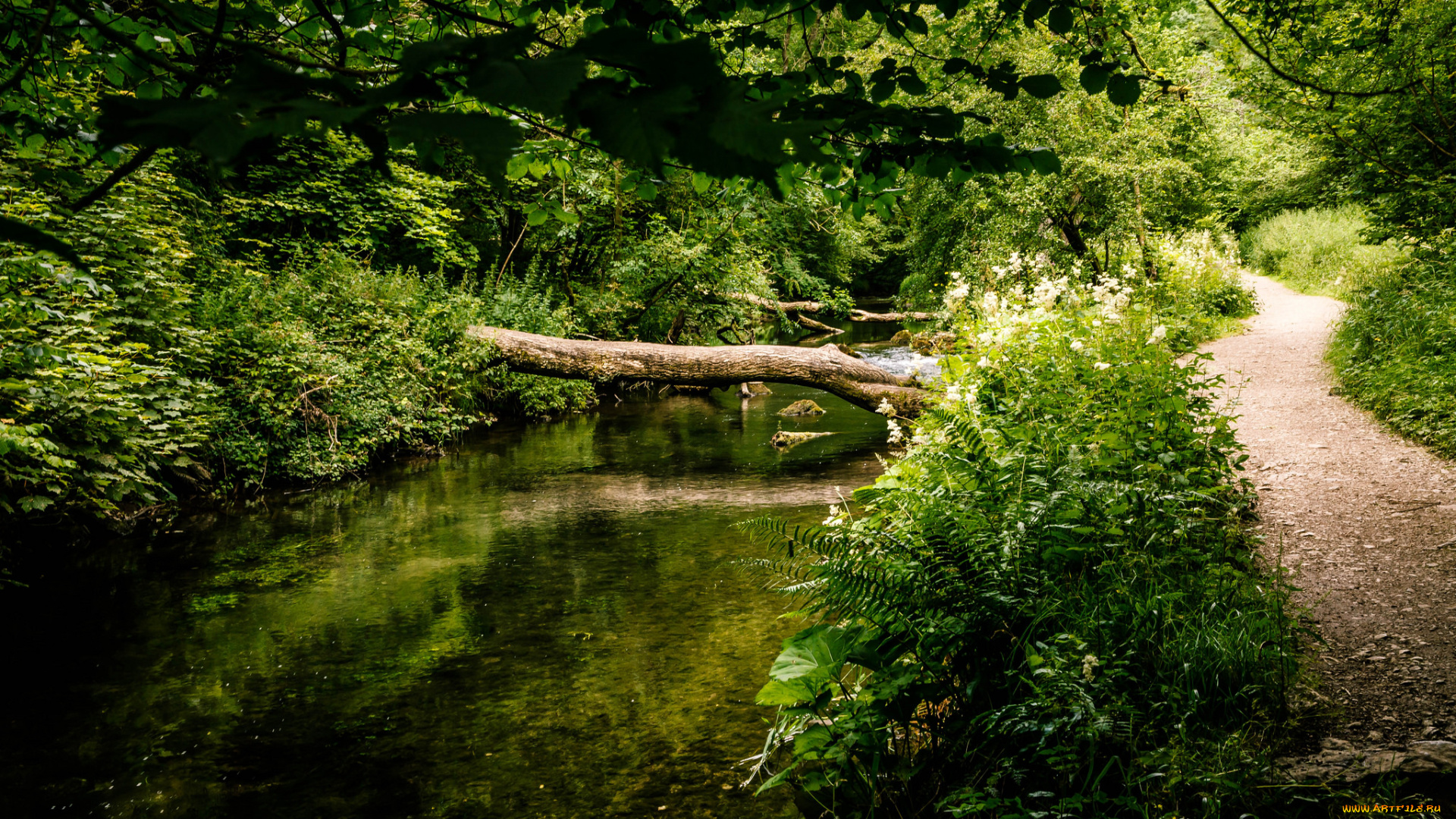 природа, реки, озера, простор