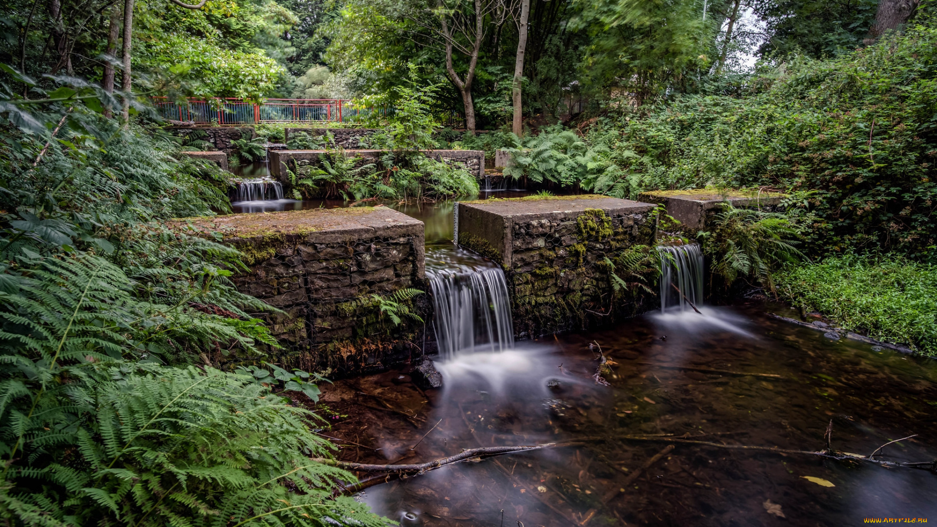 природа, реки, озера, простор