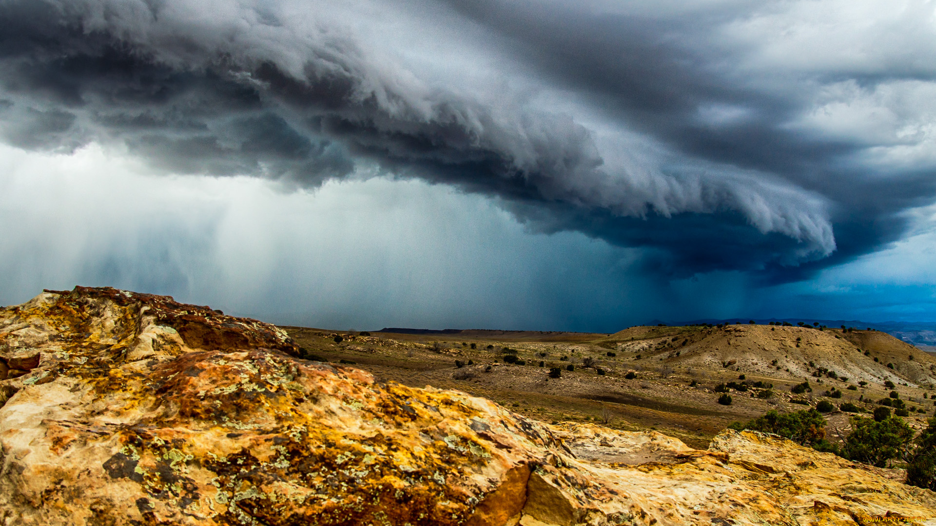 природа, стихия, простор