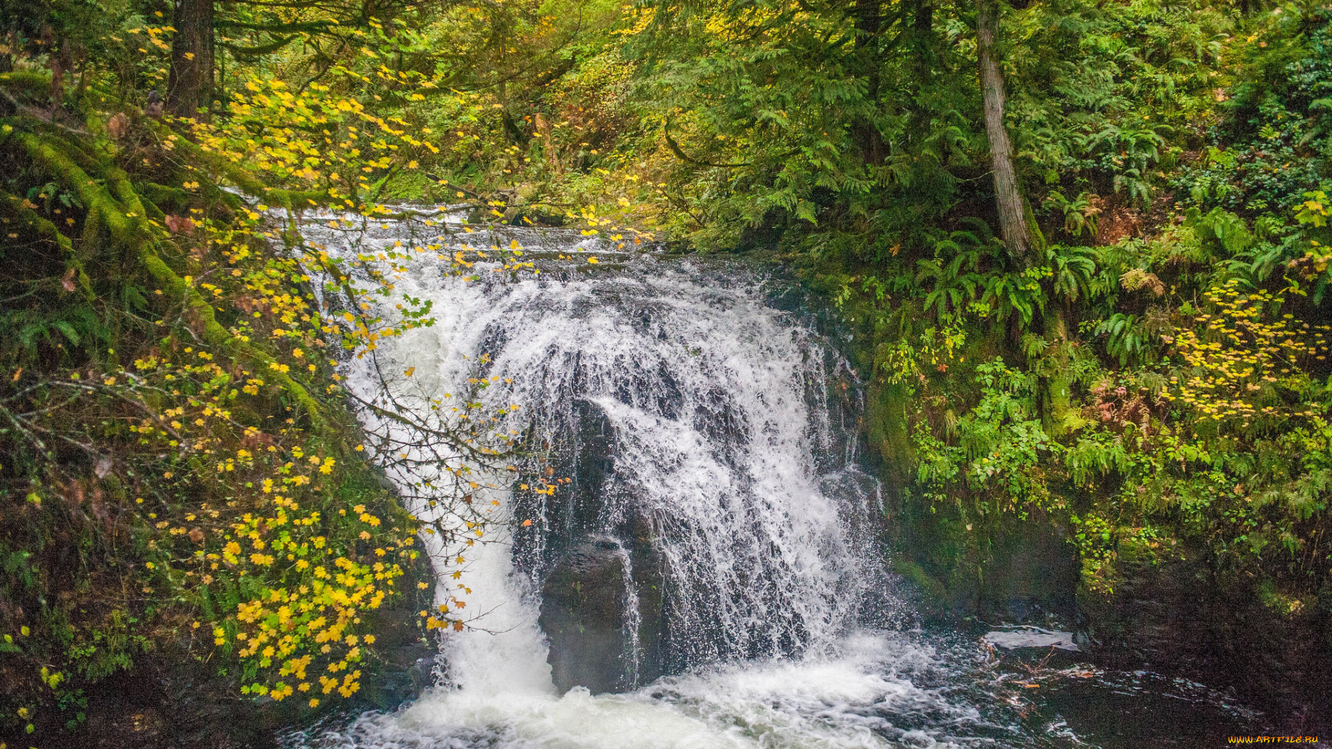природа, водопады, простор