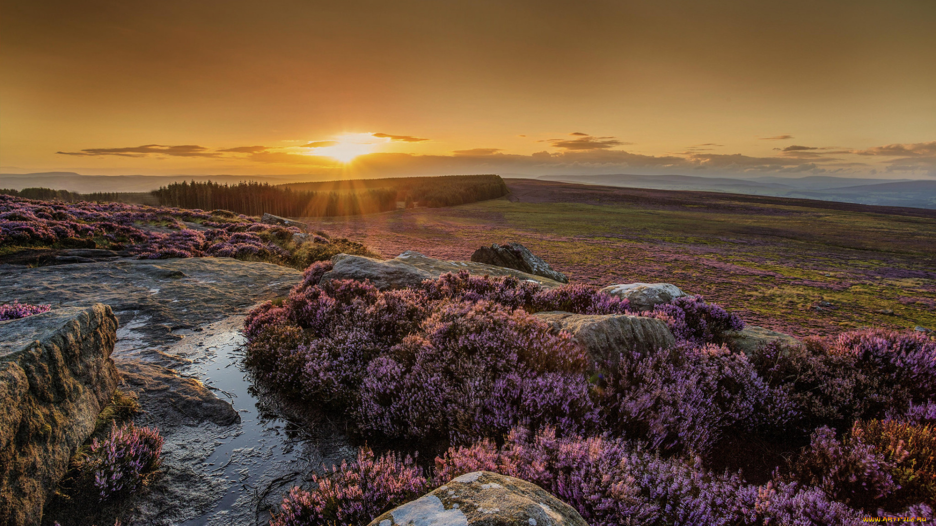 природа, восходы, закаты, простор