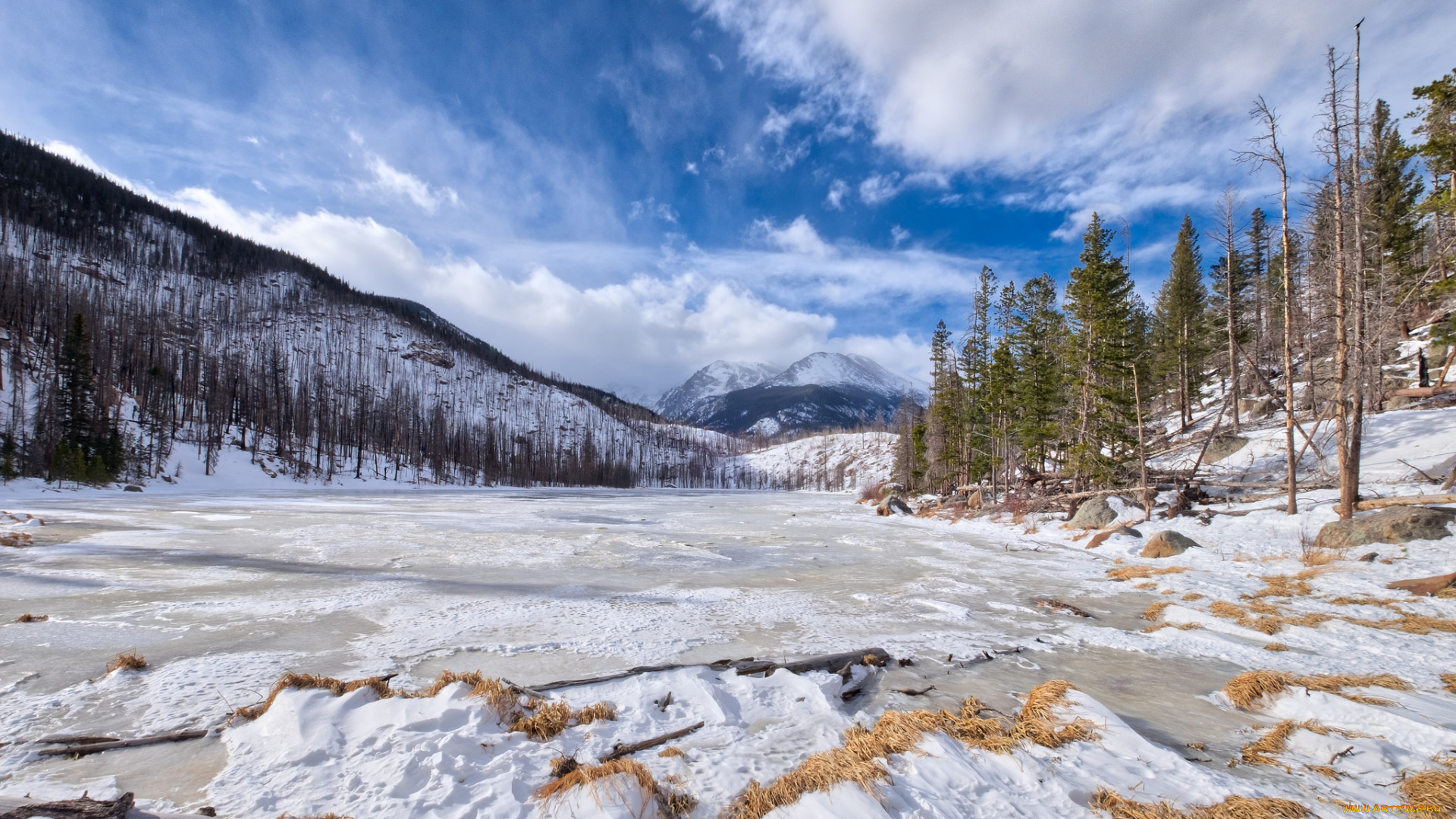 природа, зима, простор