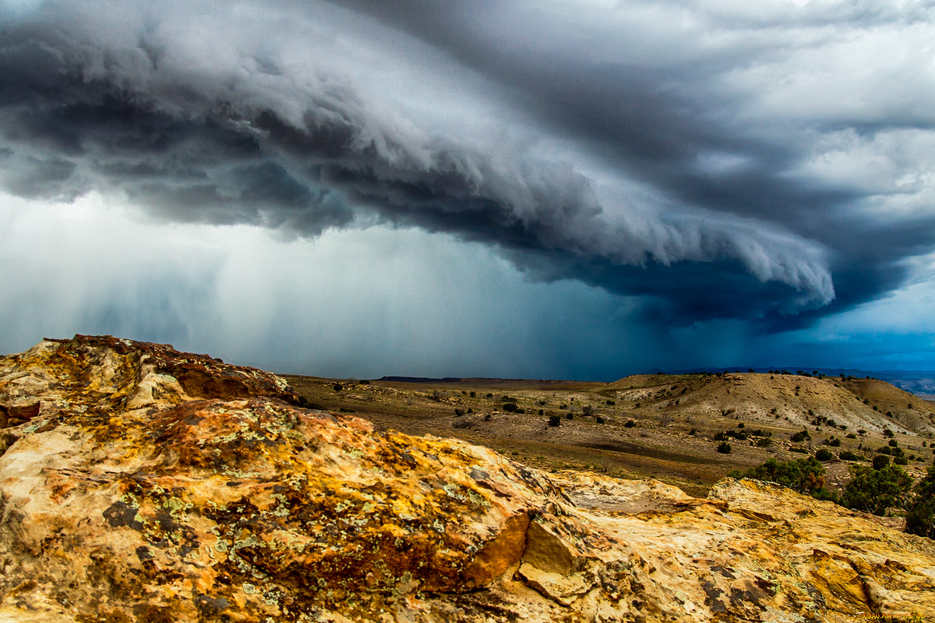 природа, стихия, простор