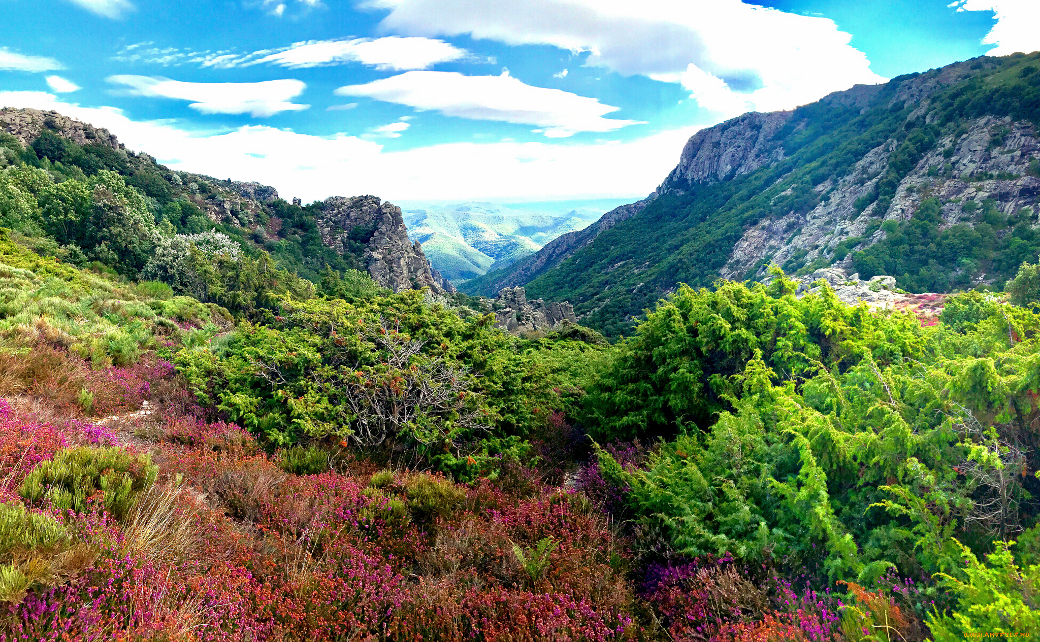 природа, горы, простор