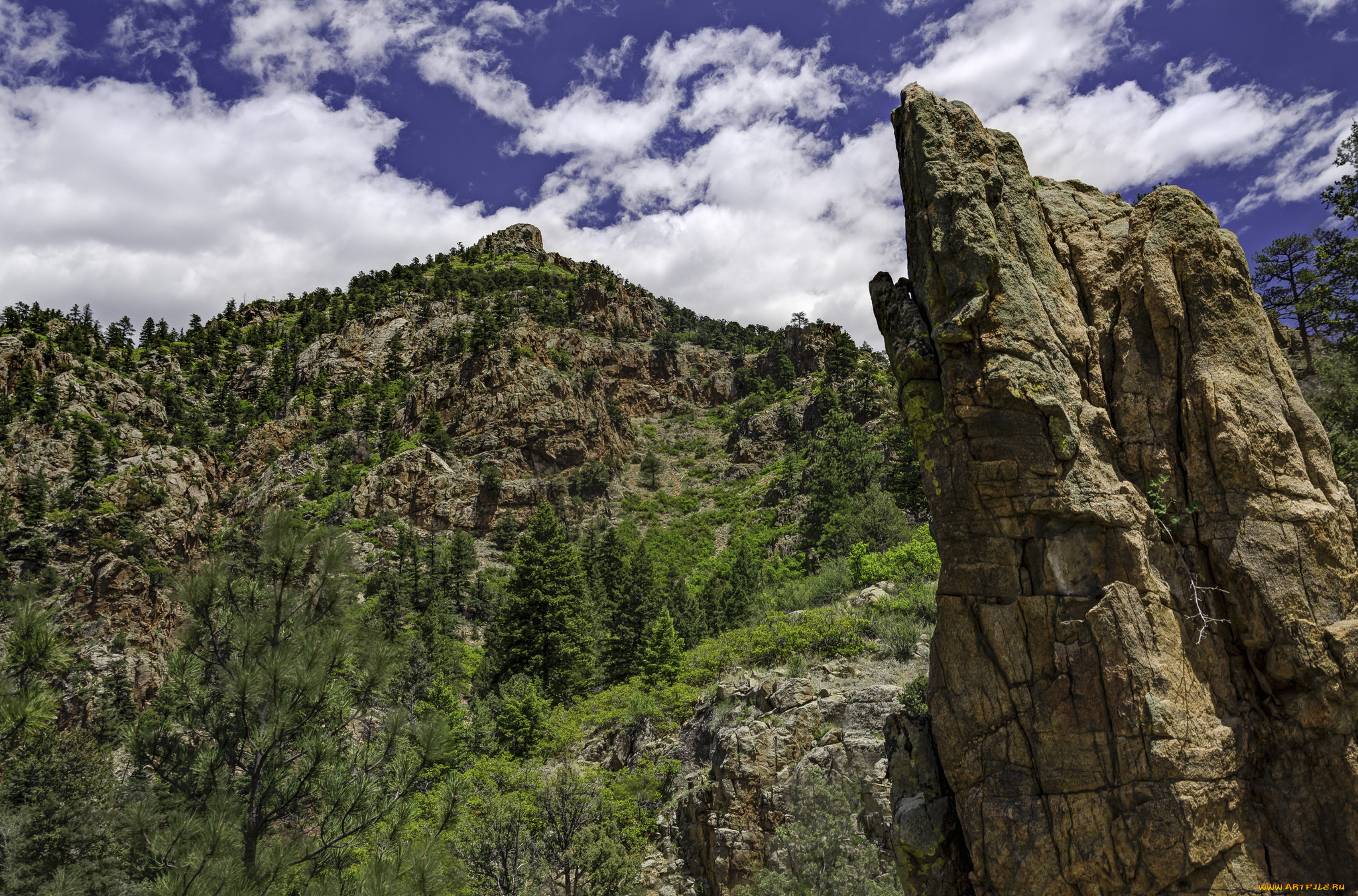 природа, горы, простор