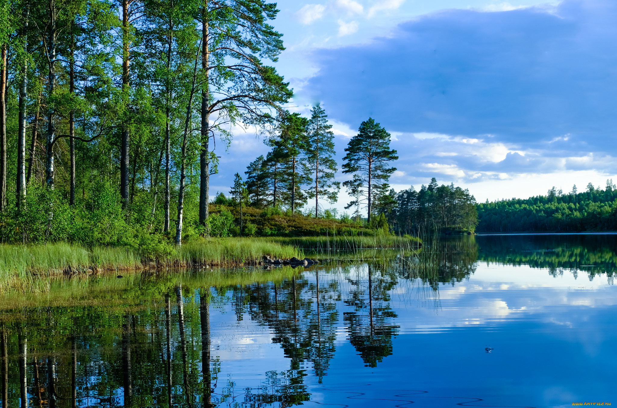 природа, реки, озера, простор