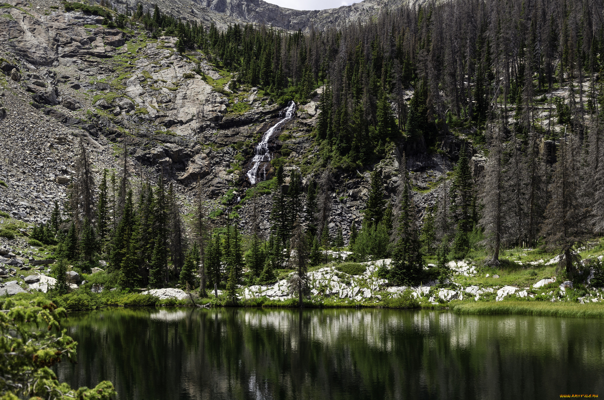 природа, реки, озера, простор