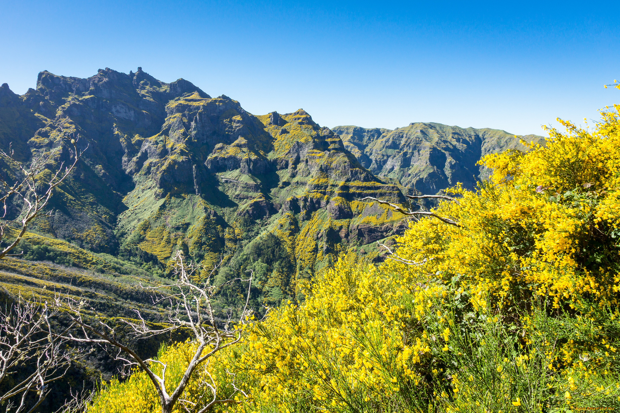 природа, горы, простор