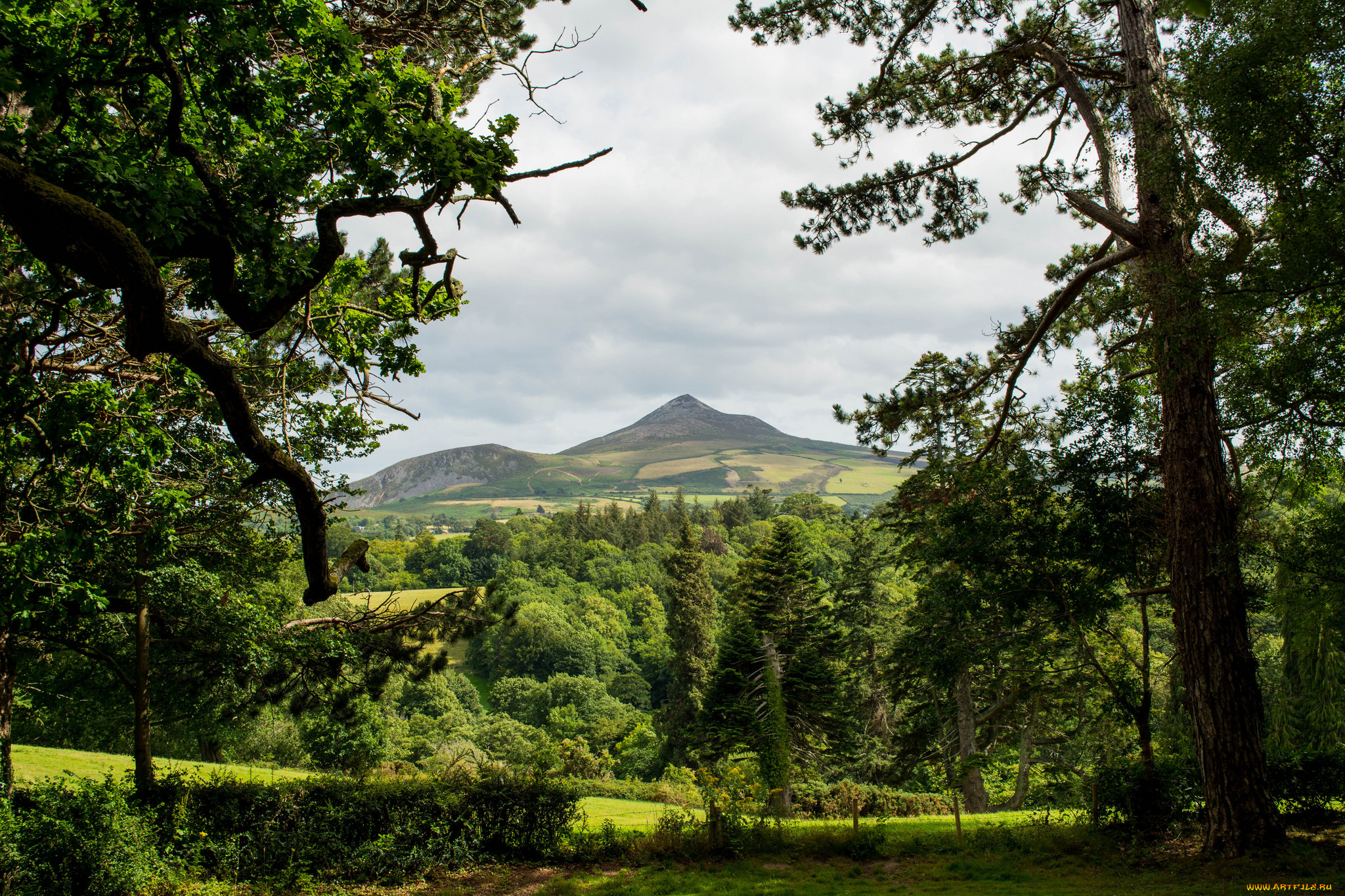 природа, пейзажи, простор