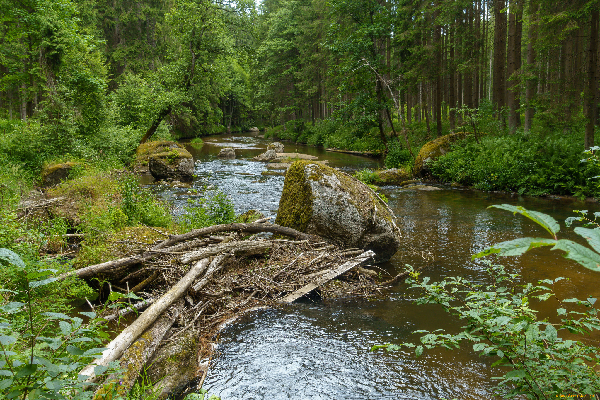 природа, реки, озера, простор