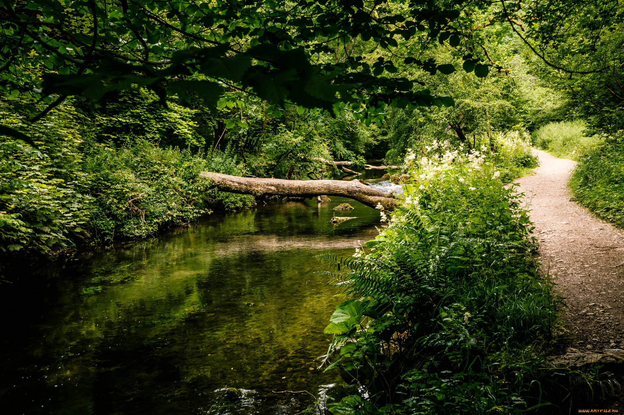 природа, реки, озера, простор