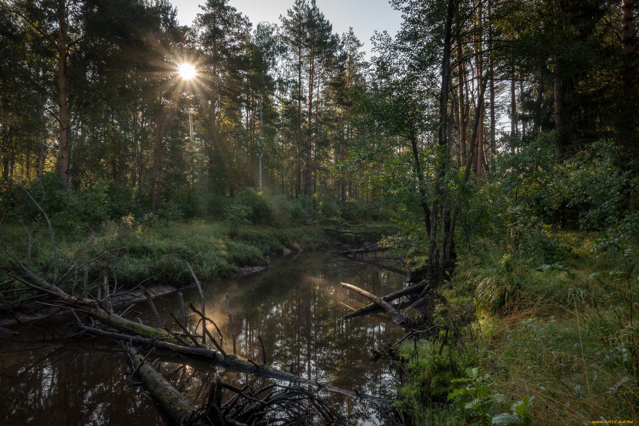 природа, реки, озера, простор