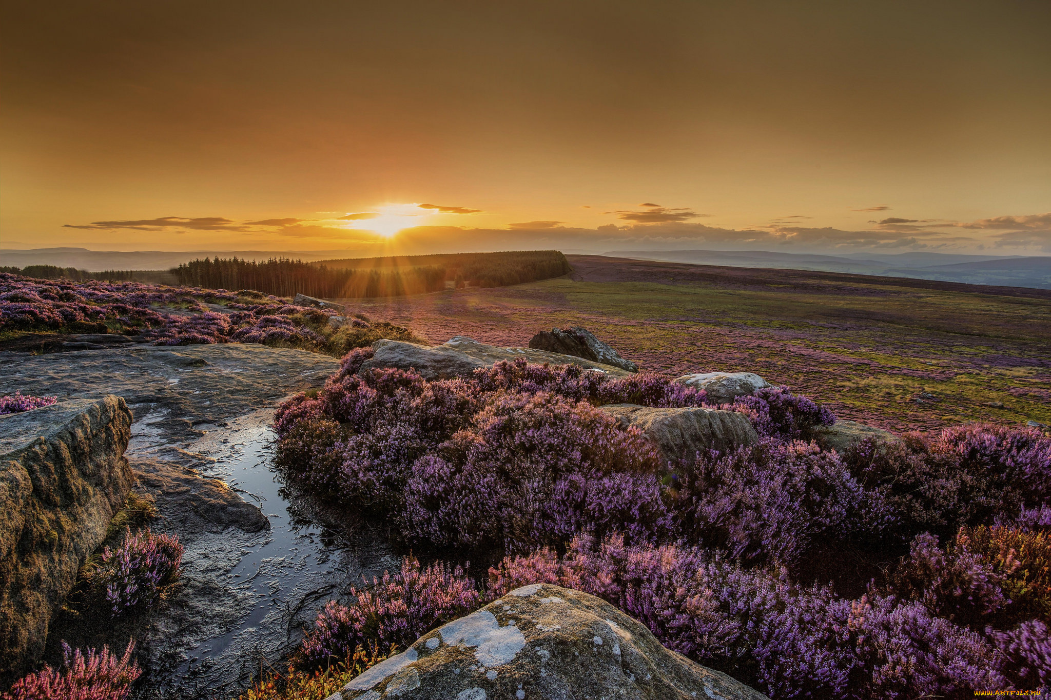 природа, восходы, закаты, простор