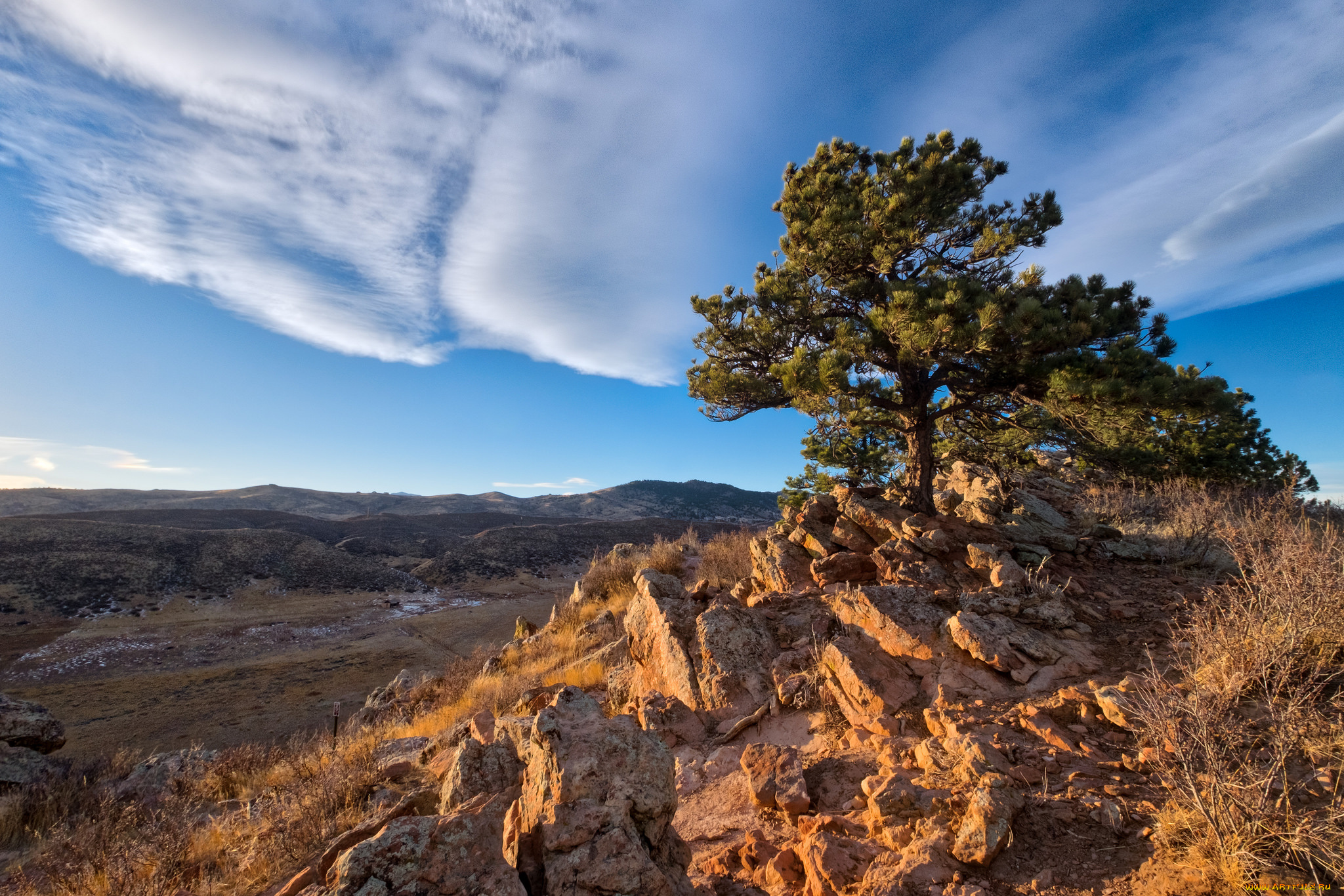 природа, деревья, простор