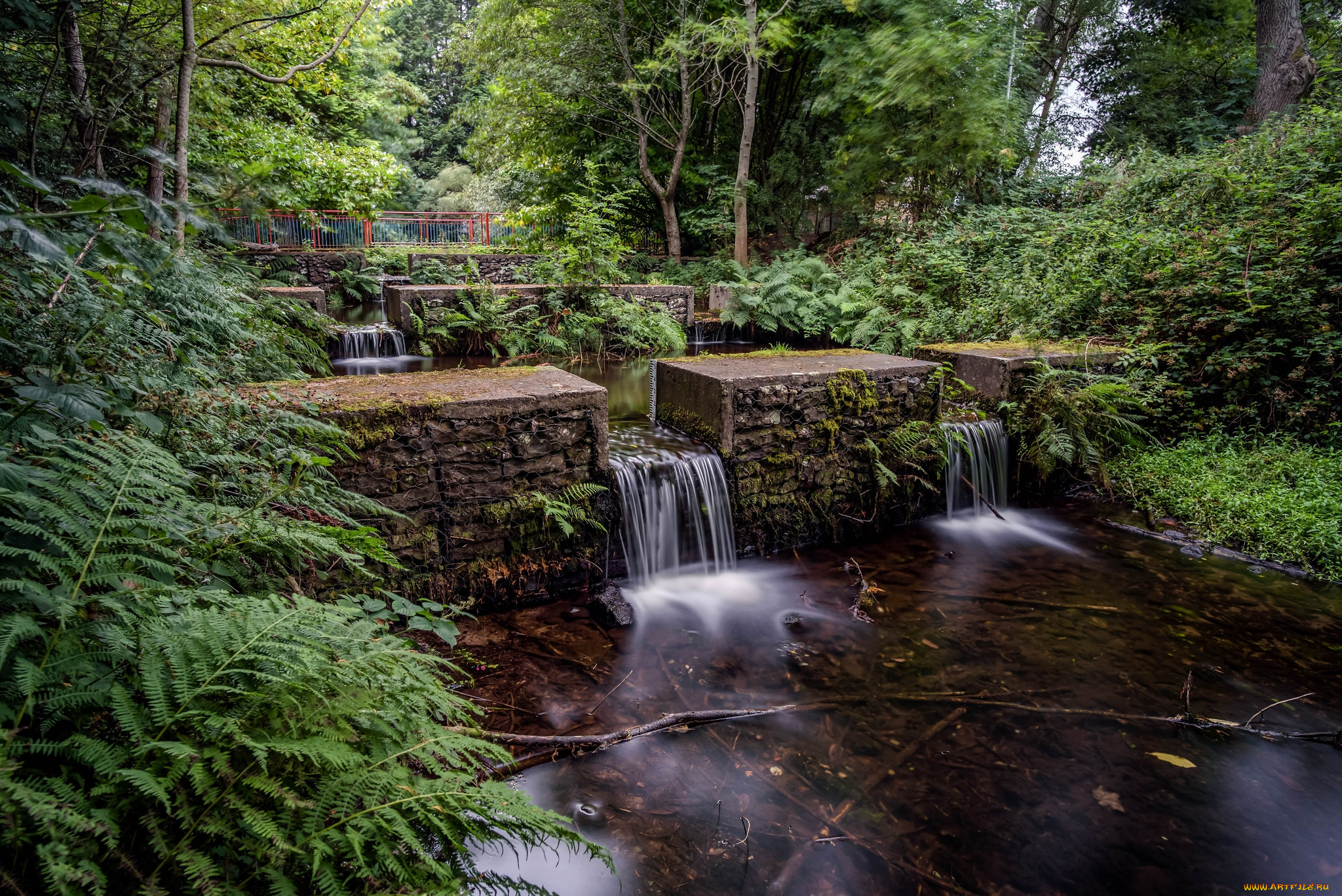 природа, реки, озера, простор