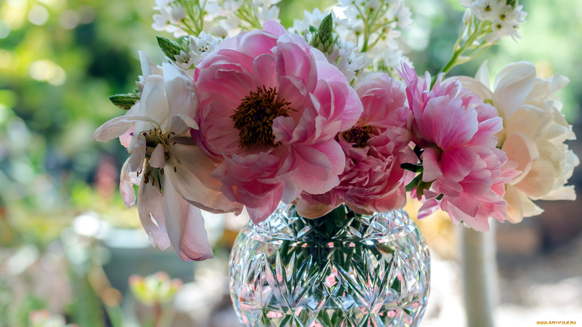 цветы, букеты, , композиции, ваза, букет, пионы, лепестки