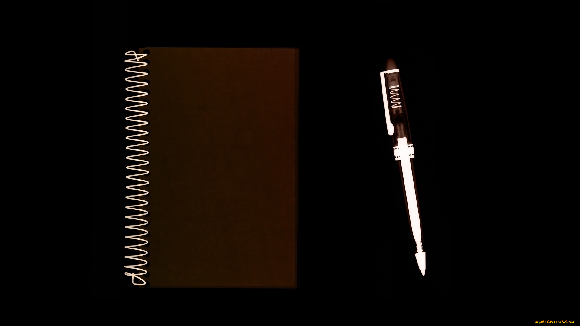 разное, кости, , рентген, блокнот, ручка