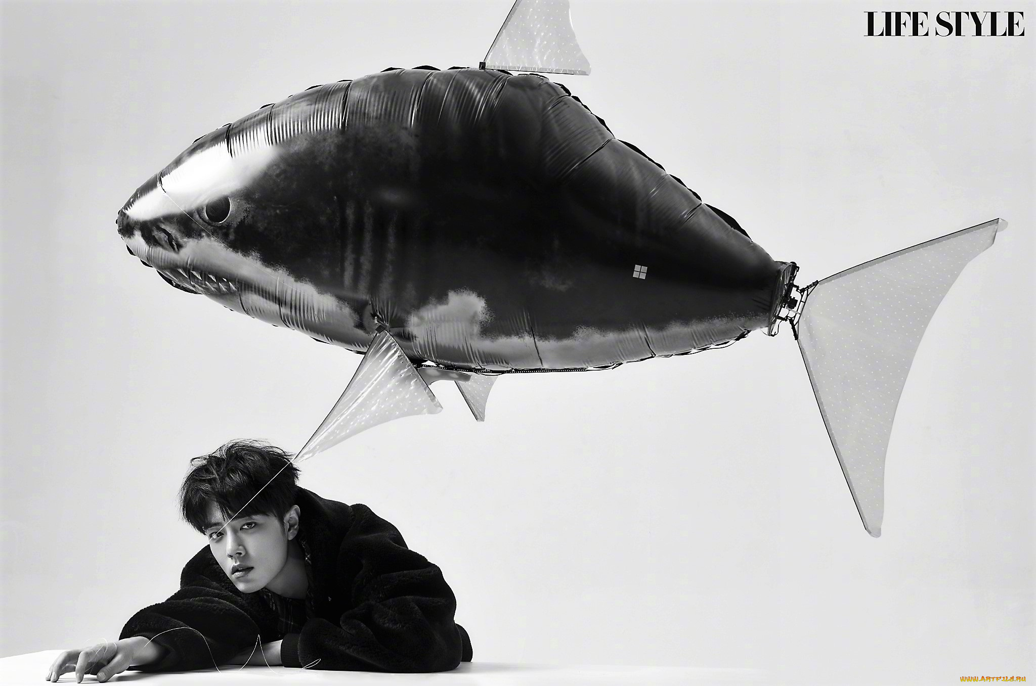 мужчины, xiao, zhan, лицо, куртка, шарик, рыба