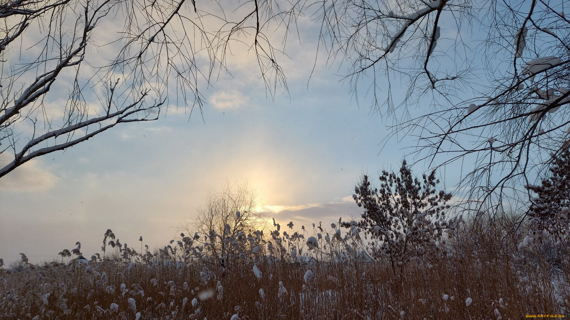 природа, восходы, закаты, зима, снег