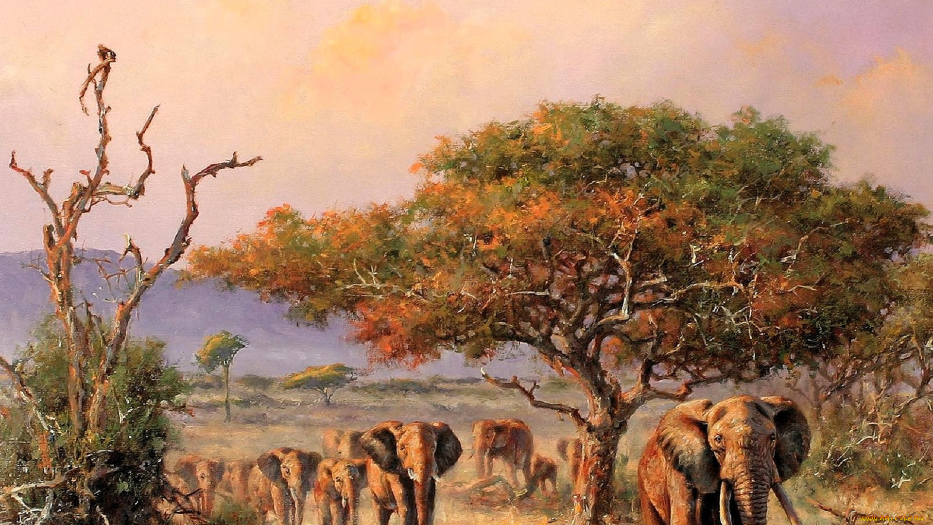 рисованное, eric, forlee, слоны, деревья, саванна