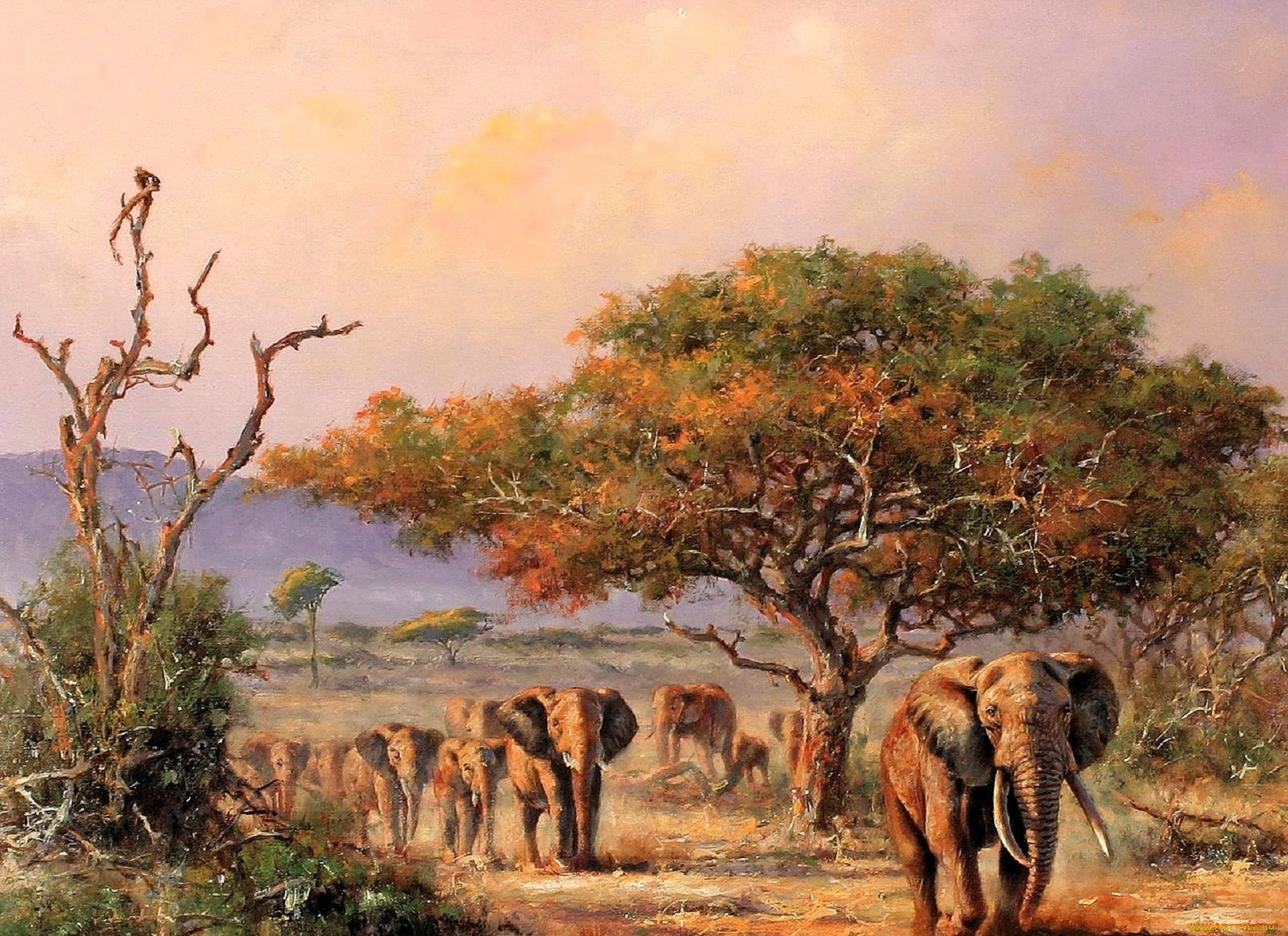 рисованное, eric, forlee, слоны, деревья, саванна