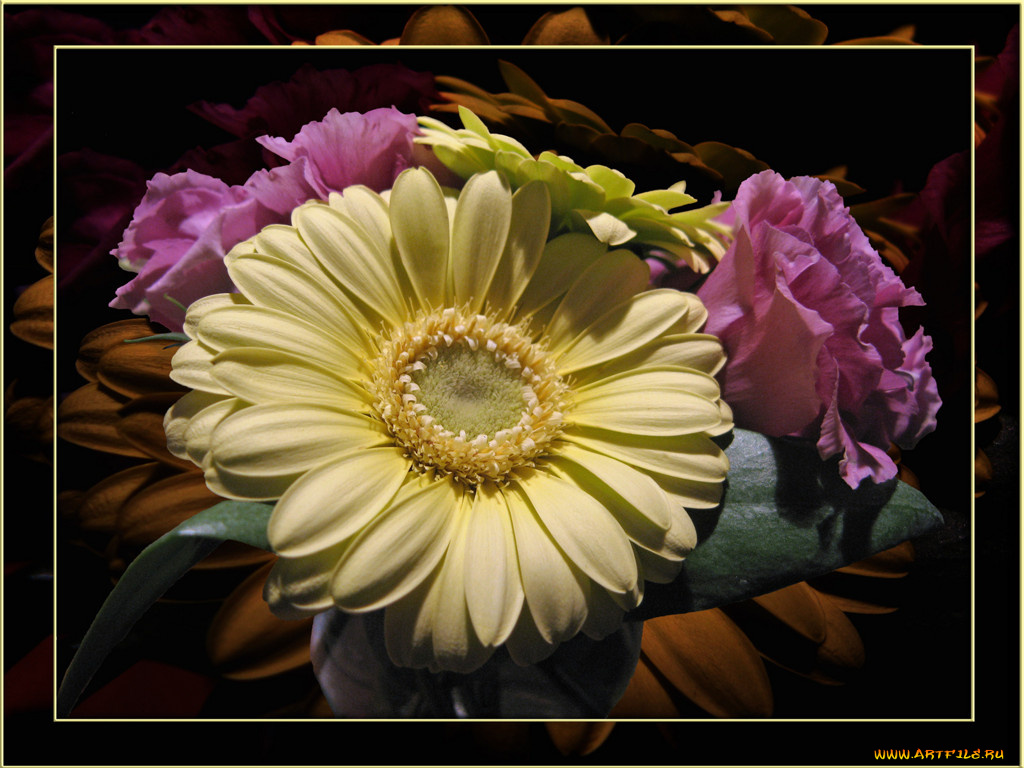 цветы, разные, вместе