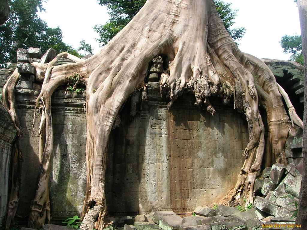 разное, элементы, архитектуры